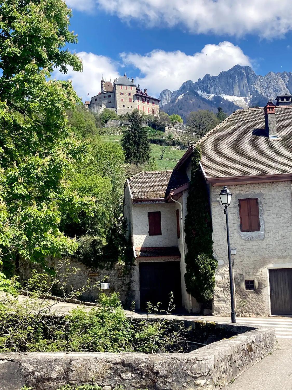 Cabane Pour Vos Vacances A 190M Du Lac D'Annecy Menthon-Saint-Bernard Buitenkant foto